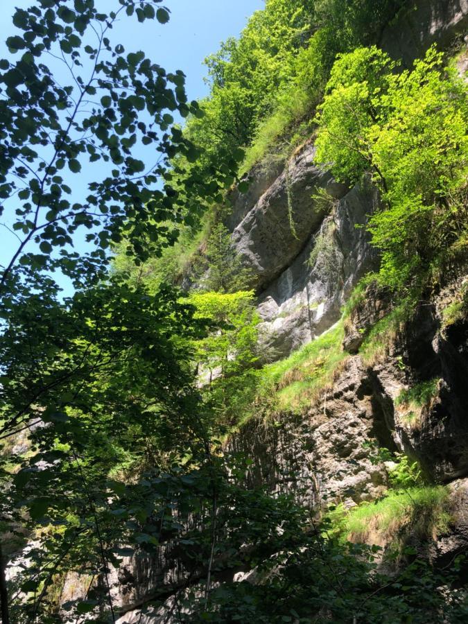 Au Pied Du Vercors Tout Est Permis La Riviere  Εξωτερικό φωτογραφία