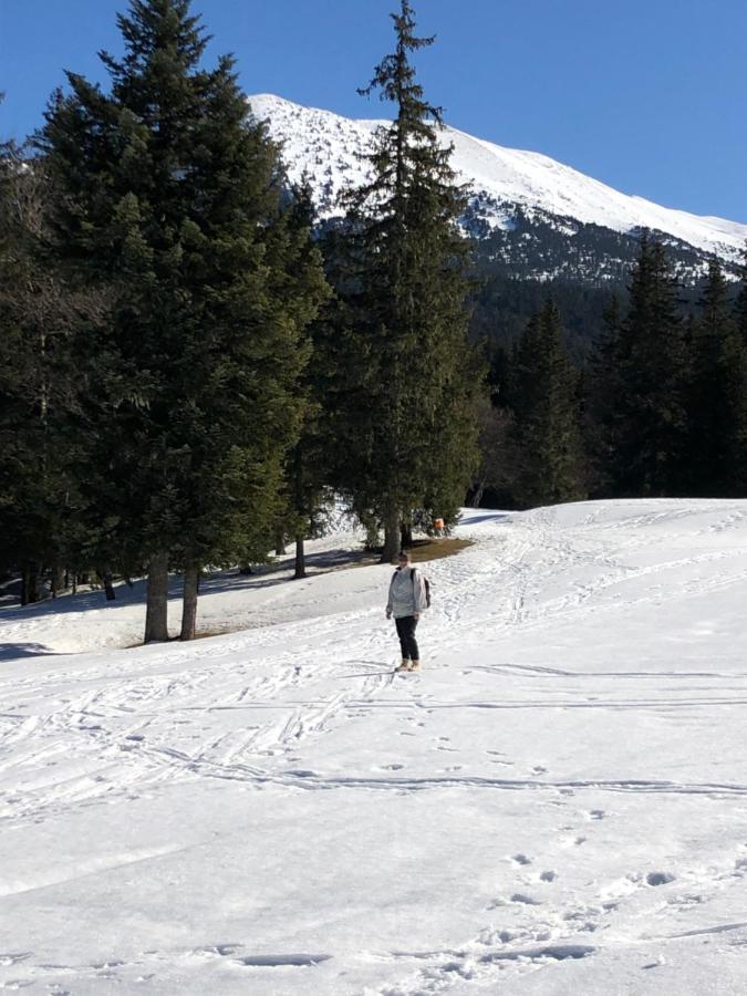 Au Pied Du Vercors Tout Est Permis La Riviere  Εξωτερικό φωτογραφία