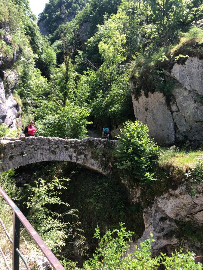 Au Pied Du Vercors Tout Est Permis La Riviere  Εξωτερικό φωτογραφία